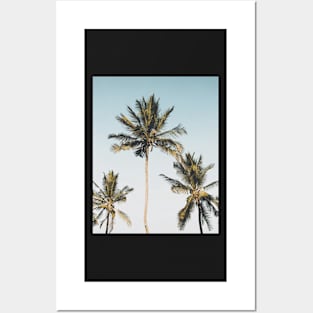 California palms, Beach art, Art print Posters and Art